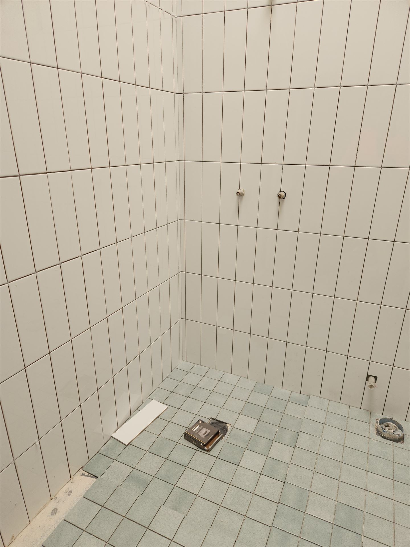 Bathroom before frameless shower screen install in Pyrmont