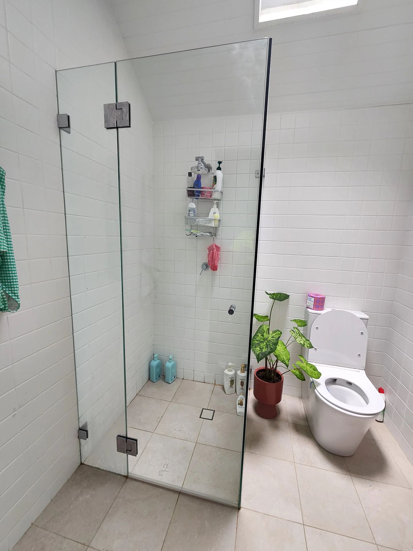 frameless shower screen with chrome hardware installed in Paddington by Showerland