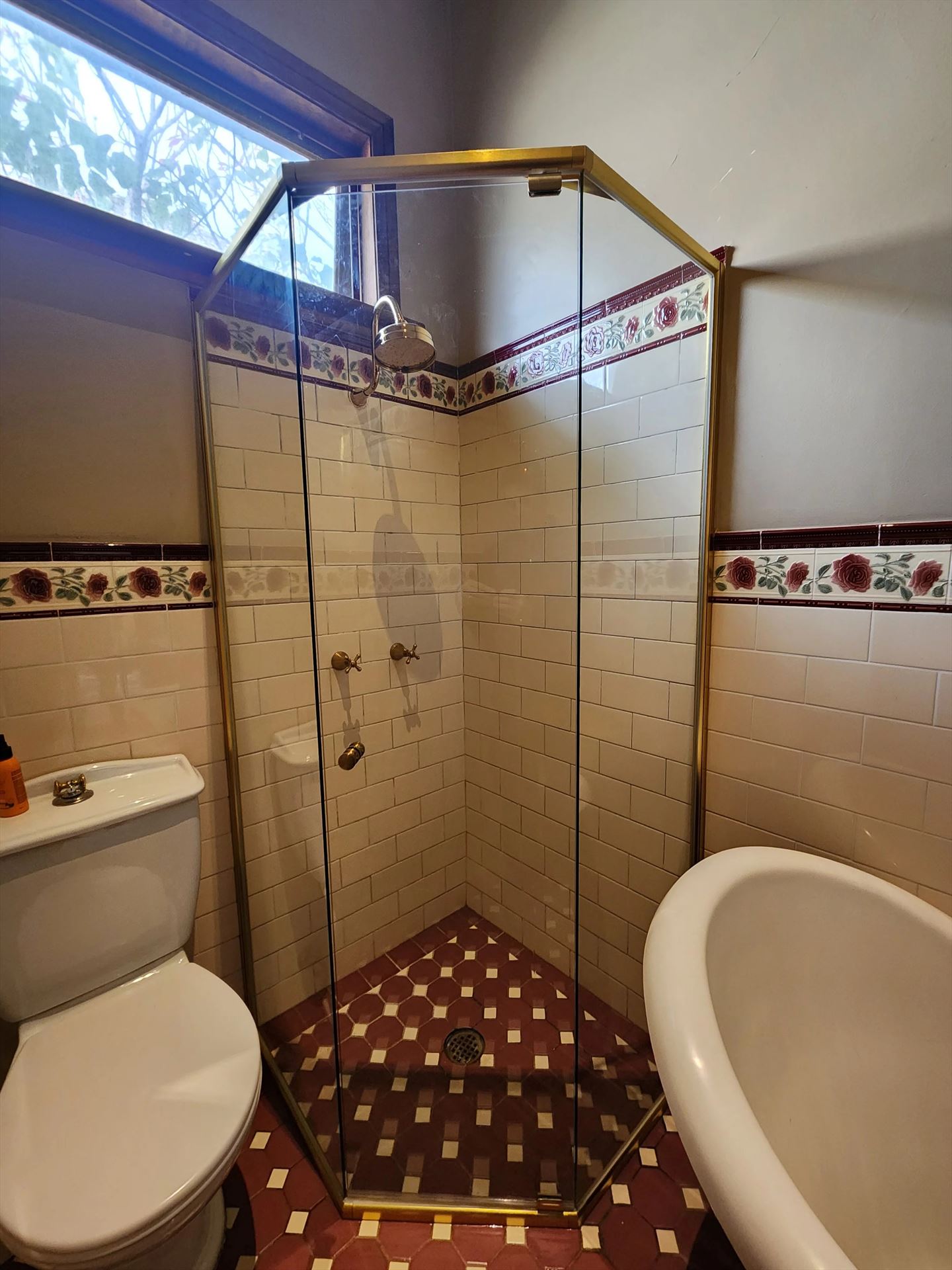 semi shower screen with gold hardware installed in Haberfield by Showerland