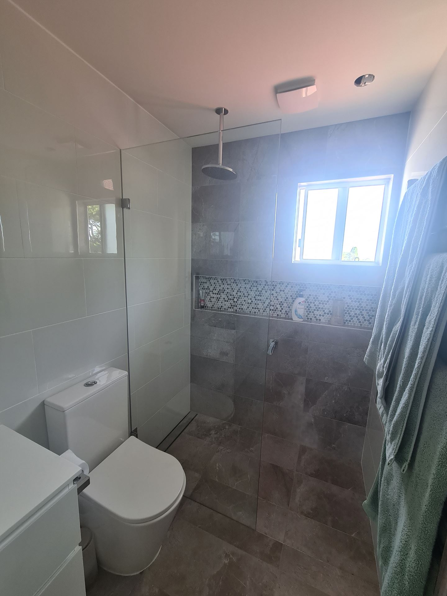 shower screen installed in Ryde by Showerland