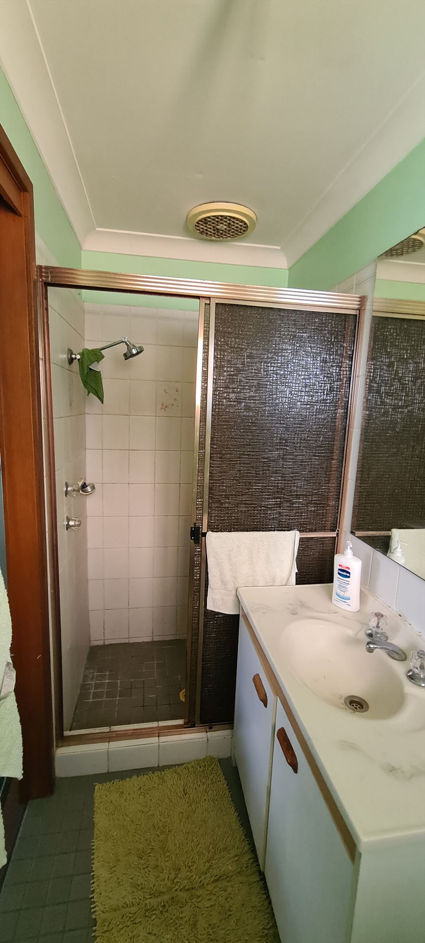 Bathroom before frameless shower screen install in Greenfield Park