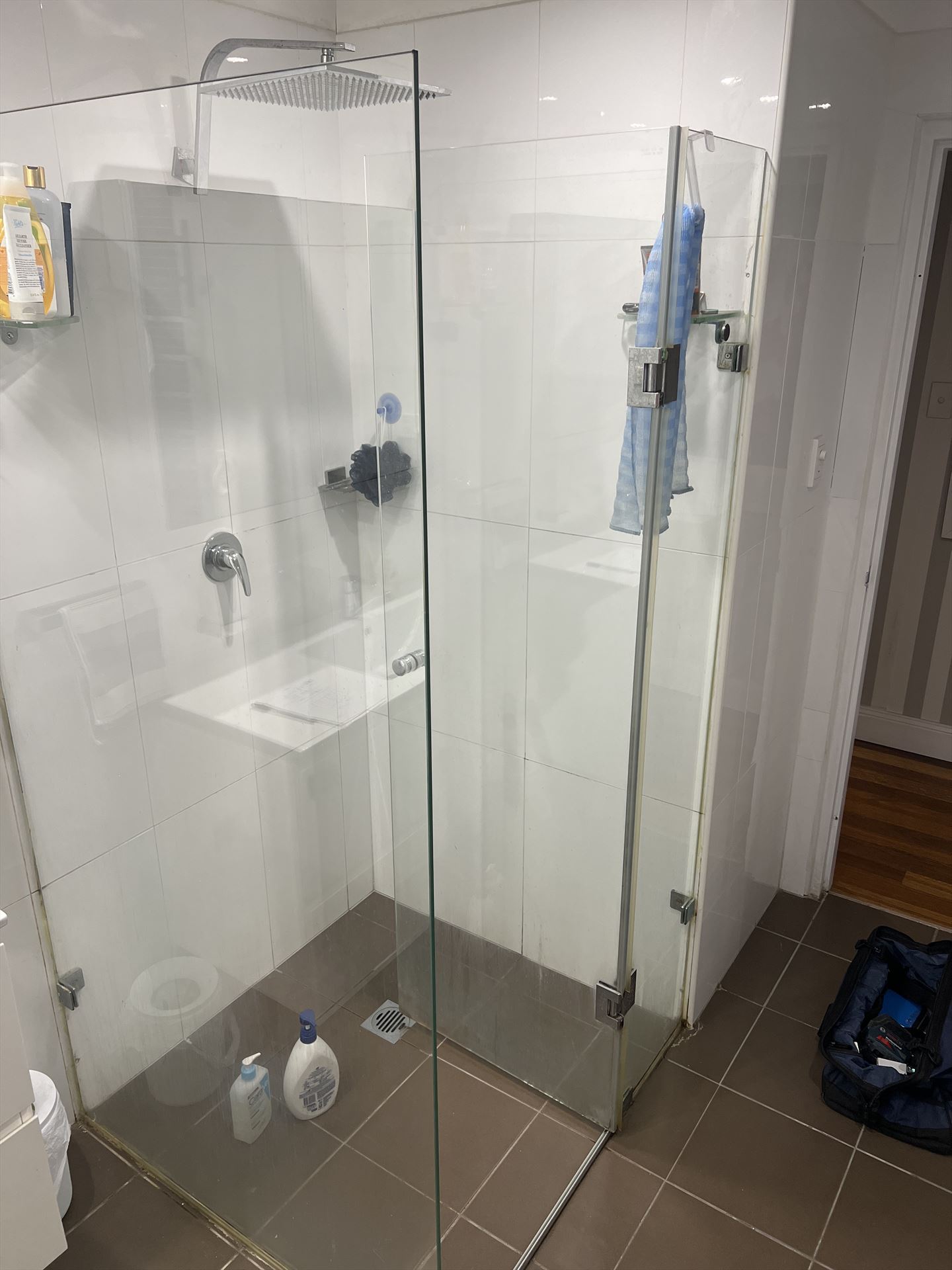 frameless shower screen installed in Alexandria by Showerland