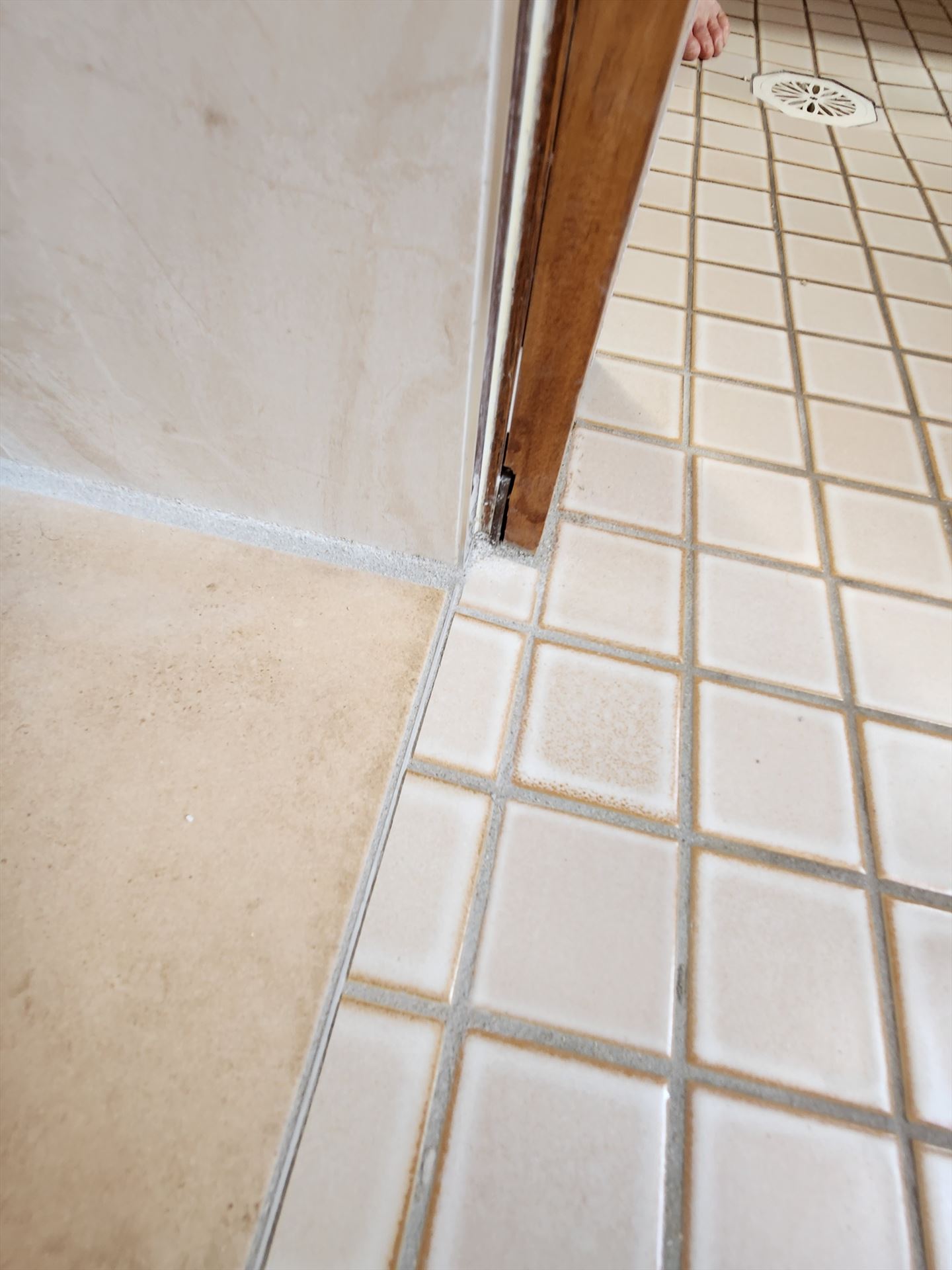 shower screen installed in Faulconbridge by Showerland